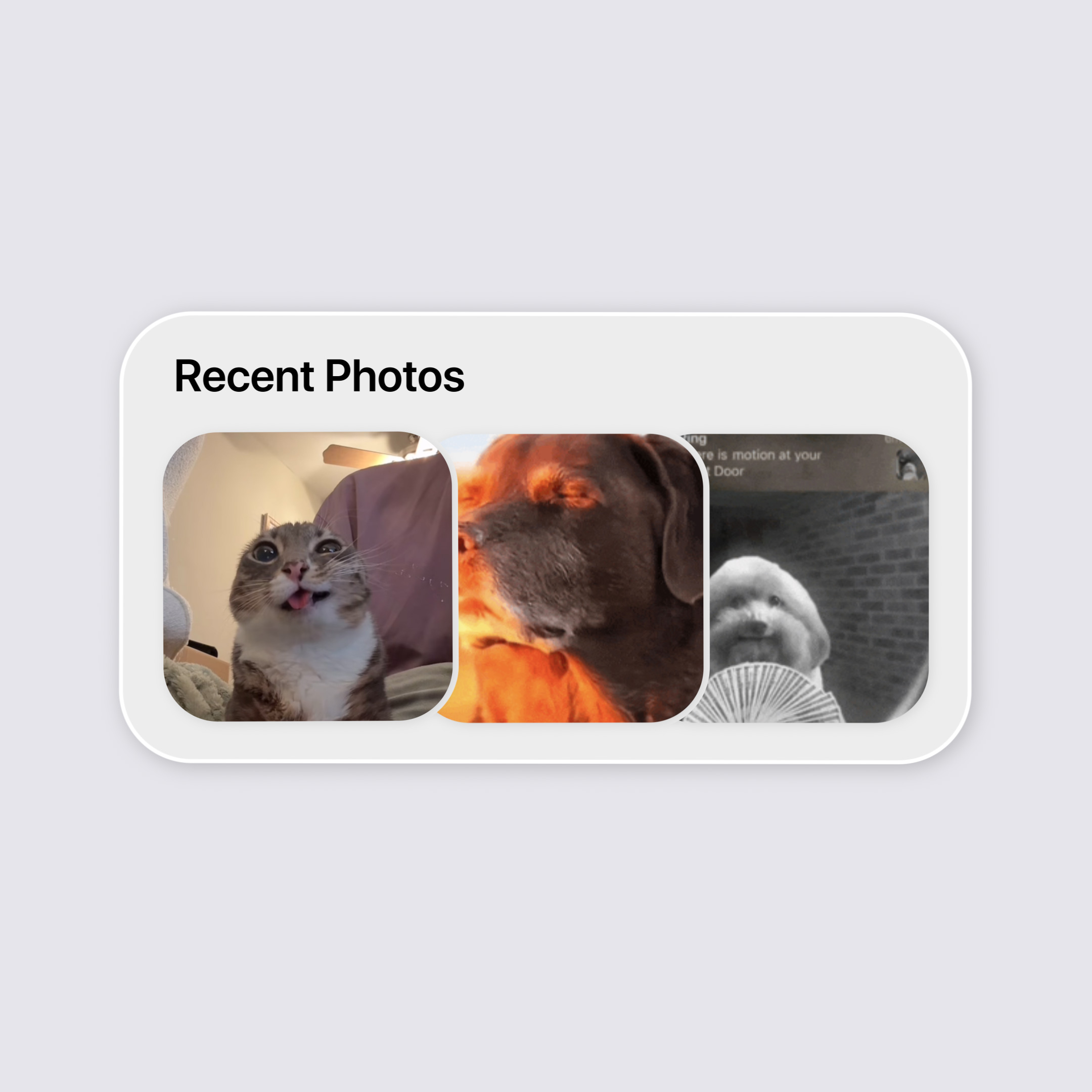 Apple Photos project file preview